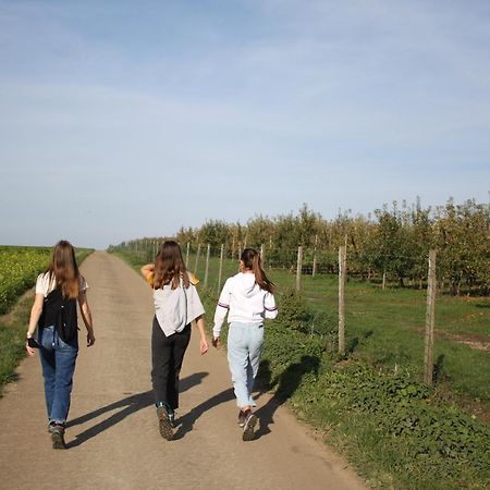 Hoeve Jadoul Gingelom Ngoại thất bức ảnh