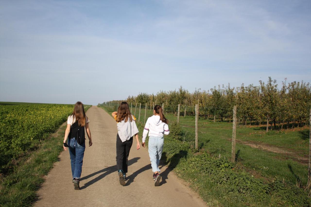 Hoeve Jadoul Gingelom Ngoại thất bức ảnh