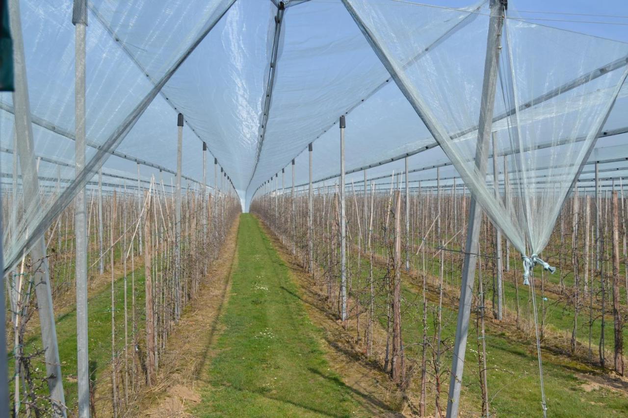 Hoeve Jadoul Gingelom Ngoại thất bức ảnh